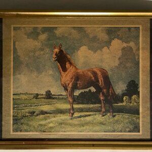 RARE Man O' War (Robert Wesley Amick) Framed Print
